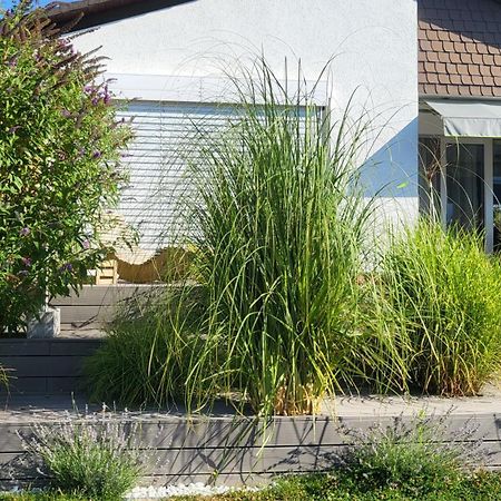 Ruhe Und Entspannung Erpolzheim Esterno foto