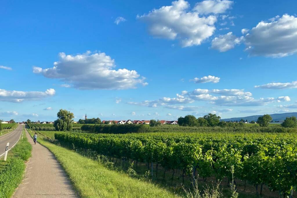 Ruhe Und Entspannung Erpolzheim Esterno foto