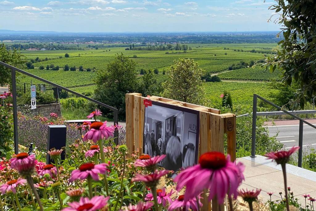 Ruhe Und Entspannung Erpolzheim Esterno foto